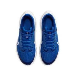 Nike Youth Pegasus 40 Running Shoe - Game Royal/White/Deep Royal - Regular (D) -Sport Footwear Shop AURORA DX2498 400 PHCTH001 2000