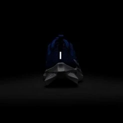 Nike Youth Pegasus 40 Running Shoe - Game Royal/White/Deep Royal - Regular (D) -Sport Footwear Shop AURORA DX2498 400 PHSBH200 2000