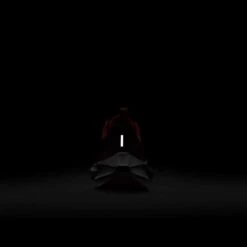 Nike Youth Pegasus 40 Running Shoe- Coral Chalk/White/Citron Pulse - Regular (D) -Sport Footwear Shop AURORA DX2498 600 PHSBH200 2000