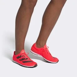 ADIDAS ADIZERO XC Sprint Spike - Signal Pink/Core Black/Cloud White-Regular (D) -Sport Footwear Shop Adizero XC Sprint Shoes Pink EG8454 010 hover standard