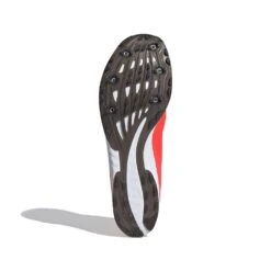 ADIDAS ADIZERO XC Sprint Spike - Signal Pink/Core Black/Cloud White-Regular (D) -Sport Footwear Shop Adizero XC Sprint Shoes Pink EG8454 03 standard