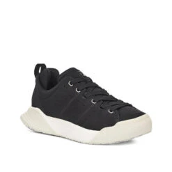 Men's X-Scape NBK Low Sneaker - Black/White - Regular (D) -Sport Footwear Shop mens x scape nbk low black white 2 800x 49a004d6 b4a7 4287 8d5d 6c8ddafe6120