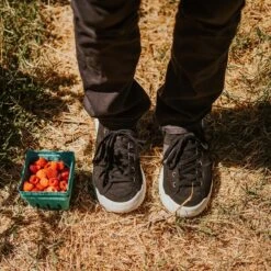 Men's X-Scape NBK Low Sneaker - Black/White - Regular (D) -Sport Footwear Shop mens x scape nbk low black white ls 1 800x 3a6d1a12 7fd3 4c79 ac9d 13c24d0fd9ec