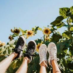 Men's X-Scape NBK Low Sneaker - Black/White - Regular (D) -Sport Footwear Shop mens x scape nbk low black white ls 2 800x 19e1401c ae96 4599 a957 64c89760f645